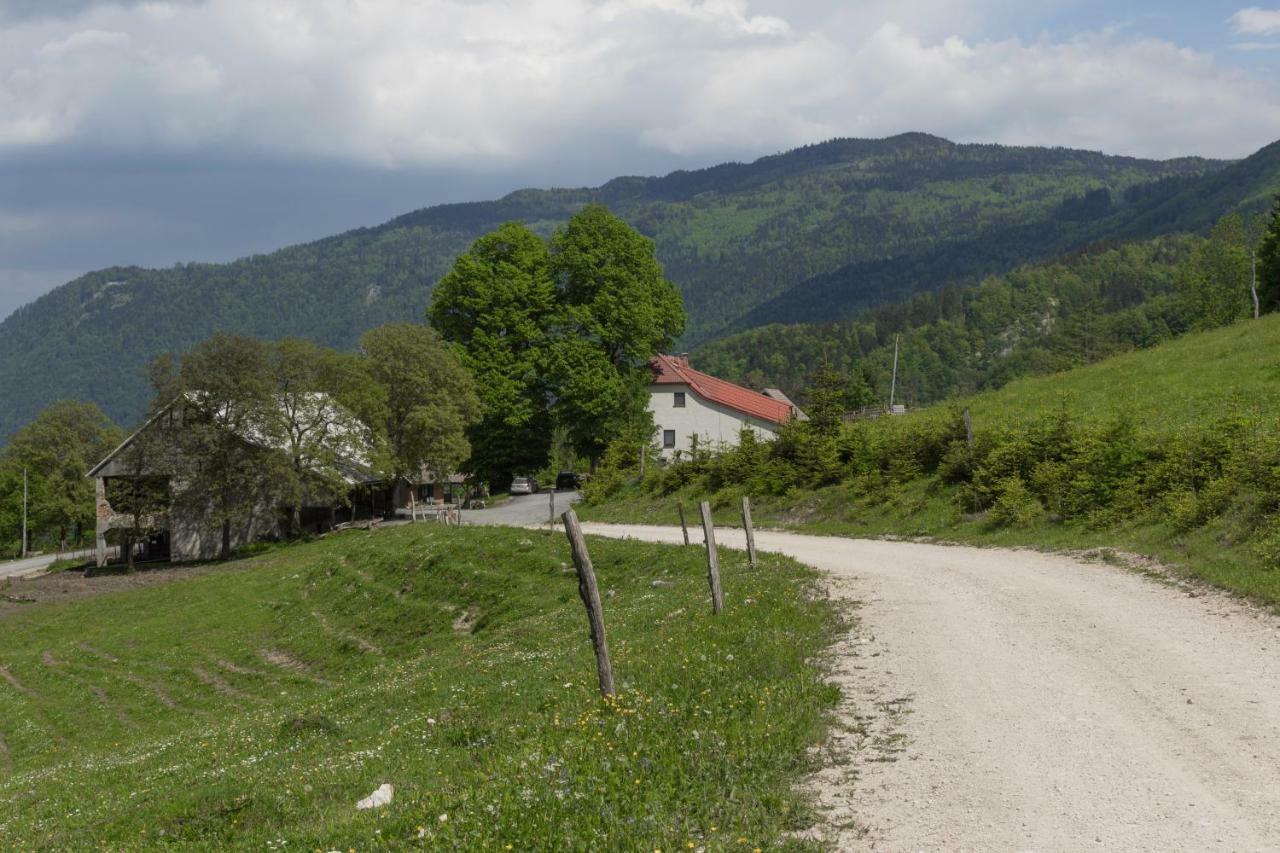 Turisticna Kmetija Toman Villa Gornji Grad Exterior photo