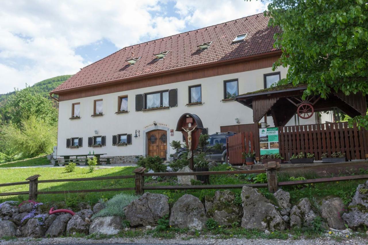 Turisticna Kmetija Toman Villa Gornji Grad Exterior photo